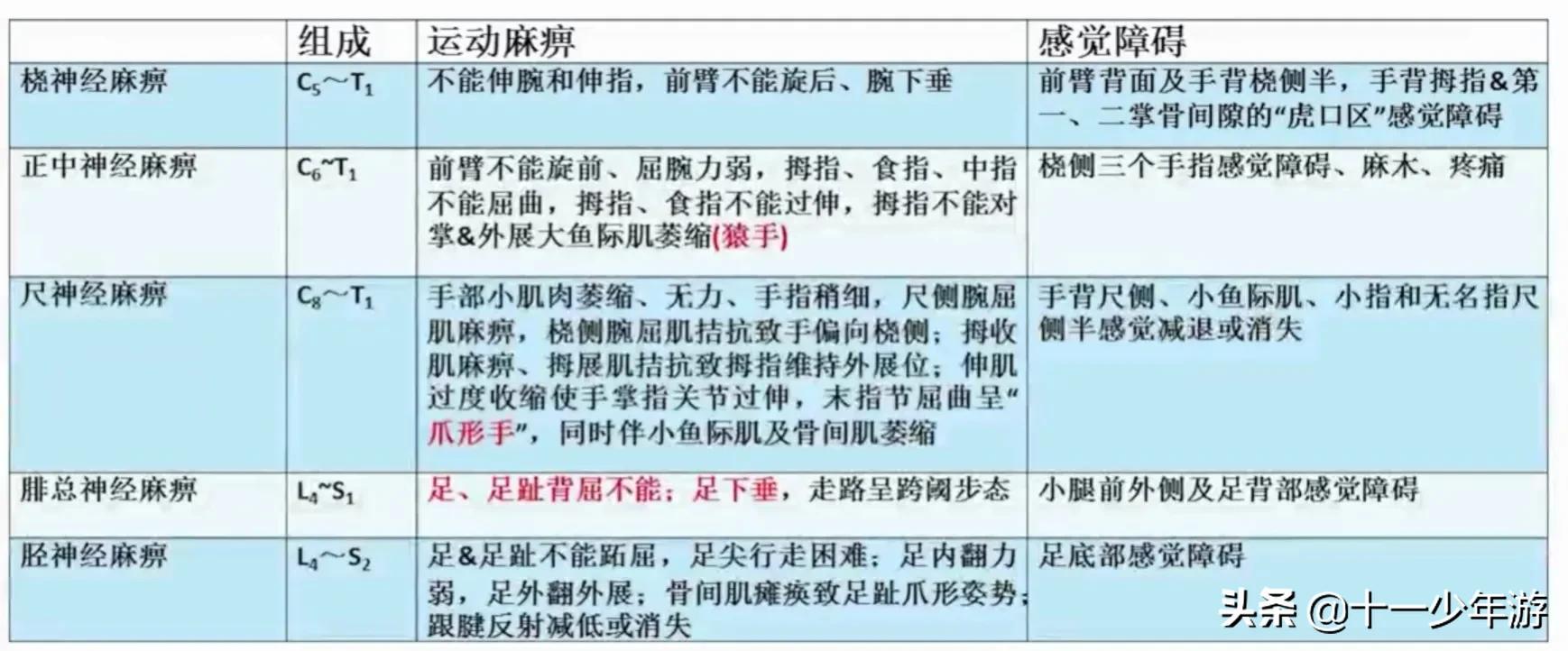 周围神经病和外周神经病,周围神经病