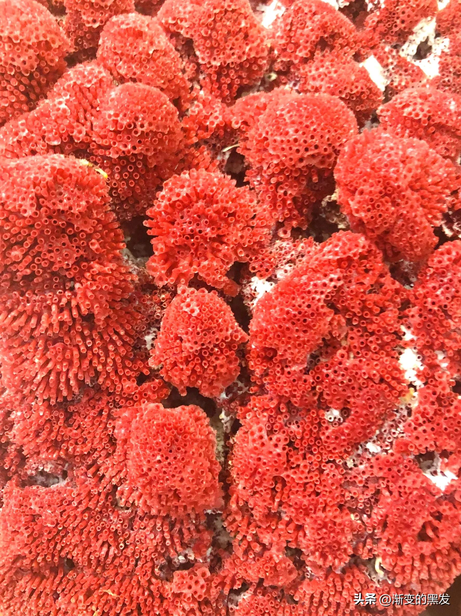 头条怎么赚更多钱,头条赚收益必须电脑上操作吗