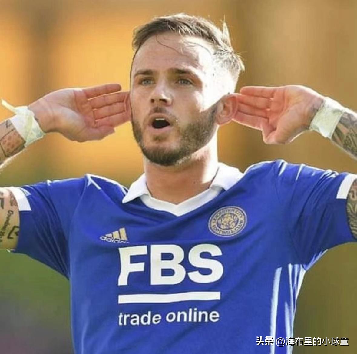 英冠狐狸城队什么时候降到英冠,狐狸城英冠是不是已经夺冠了