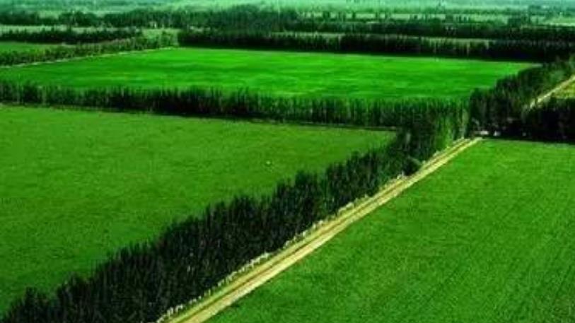 巨骗*相贵陈**：悍马购手机号，狱中坠落