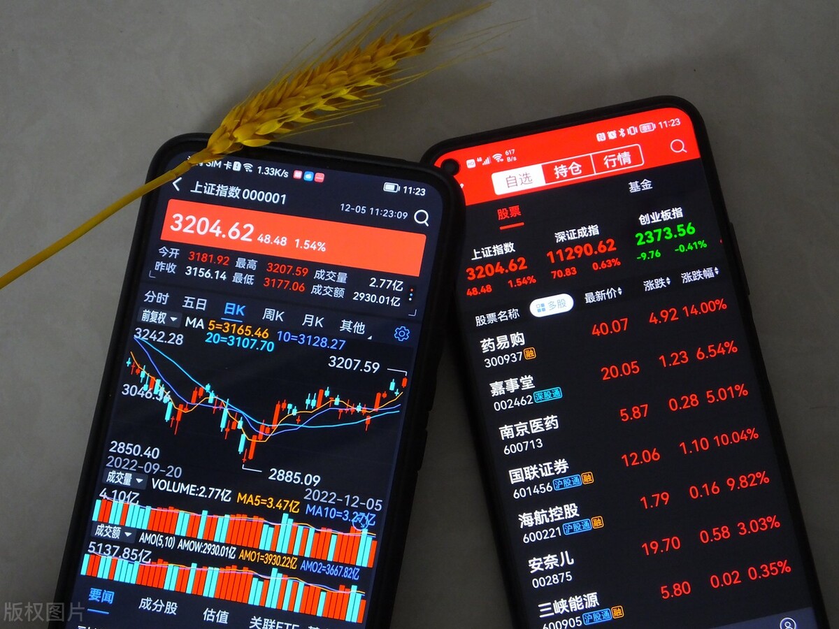 22年股民人均亏损最新消息,资深股民容易亏钱的原因