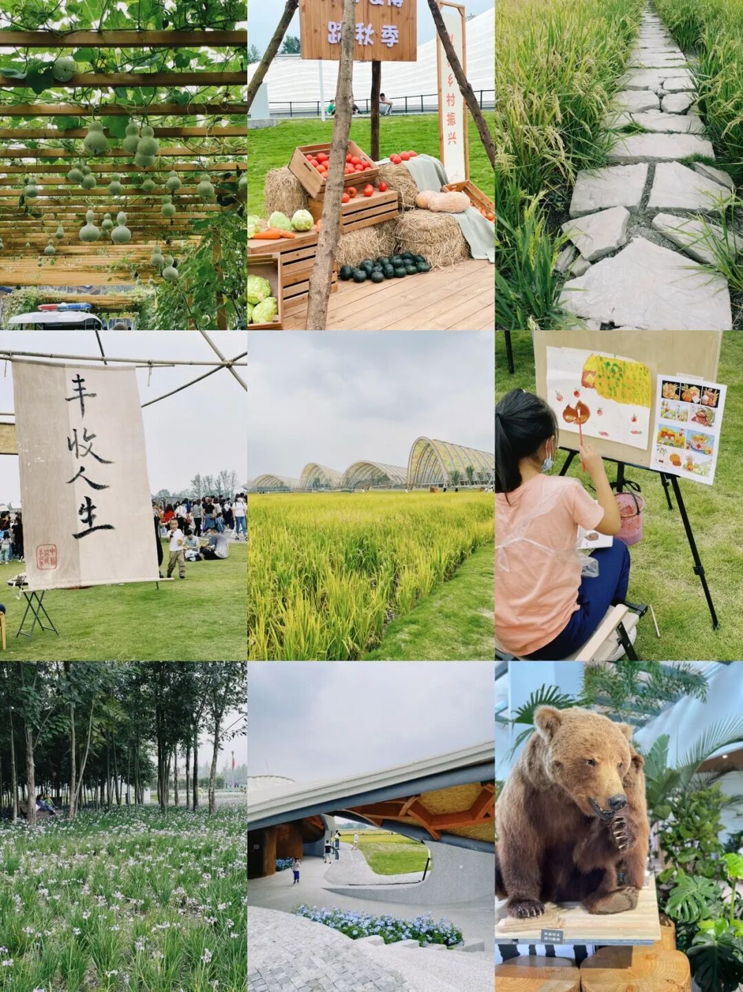 放假去哪里玩又便宜又好玩成都,假期去哪玩便宜又好玩儿成都