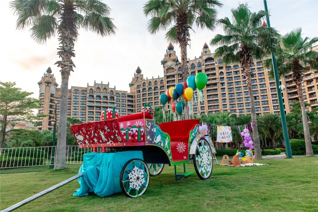 珠海长隆竟然开露营！海边下午茶、篝火音乐会、还能撸火烈鸟