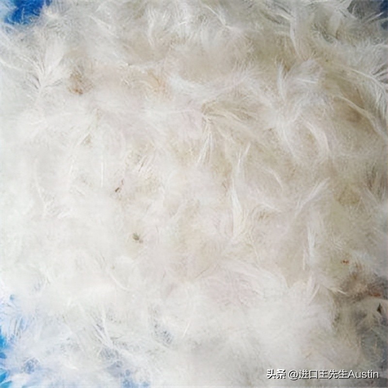 水洗鸭绒进口清关,天津进口水洗鸭绒关税多少