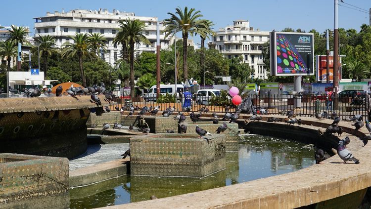 云中鹤空灵音乐,云中鹤钢琴曲