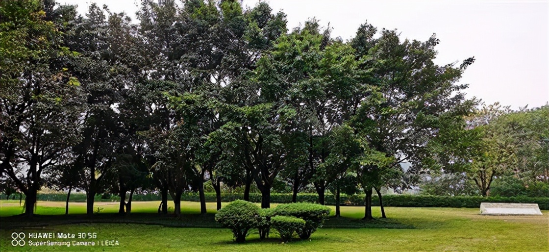 悦来棕榈泉一楼水景,棕榈泉花园户型图