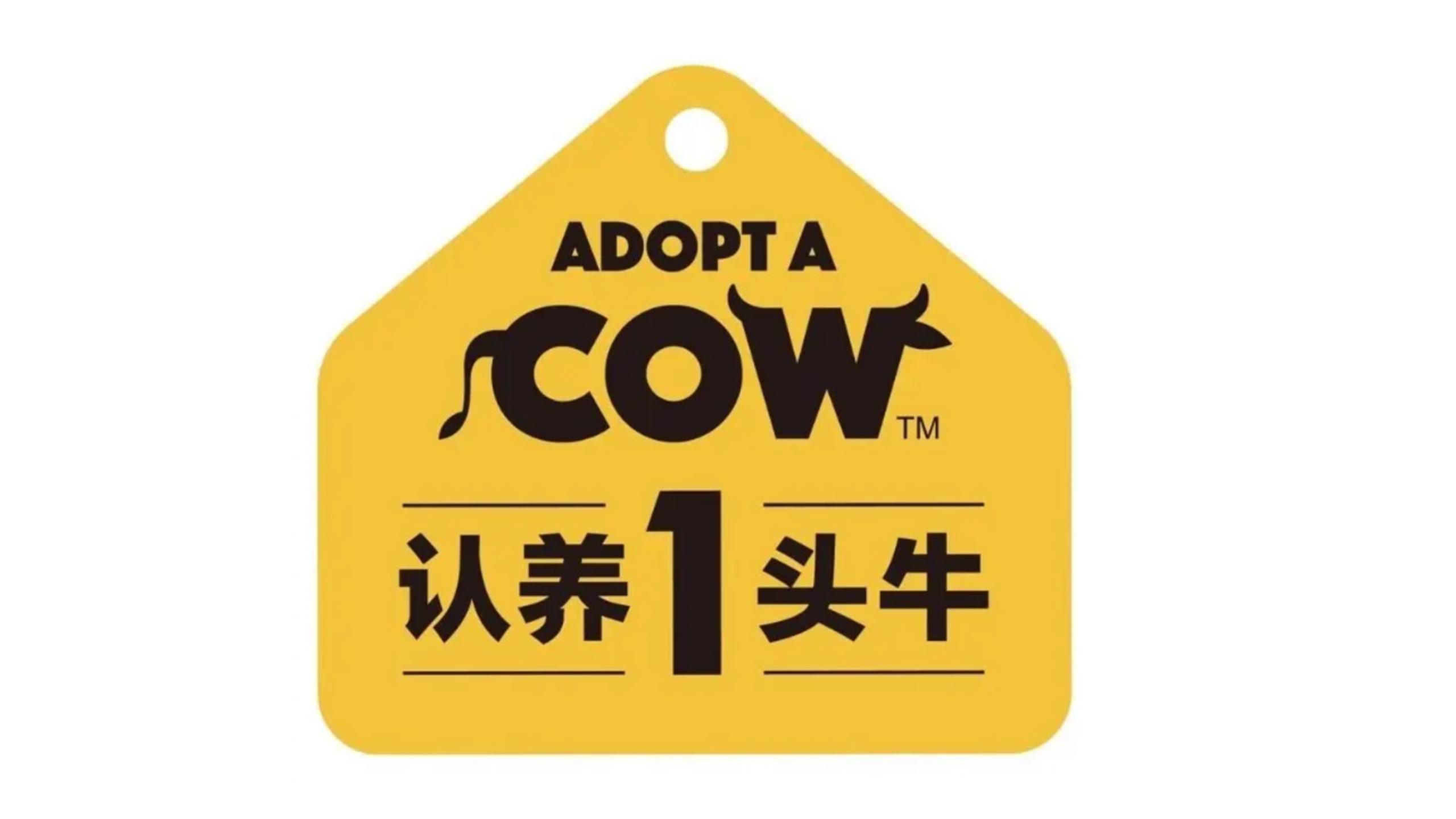 认养一头牛品牌未来发展破局,认养一头牛品牌分析