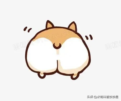 最科学的擦屁股方法,正确的擦屁股方式是什么