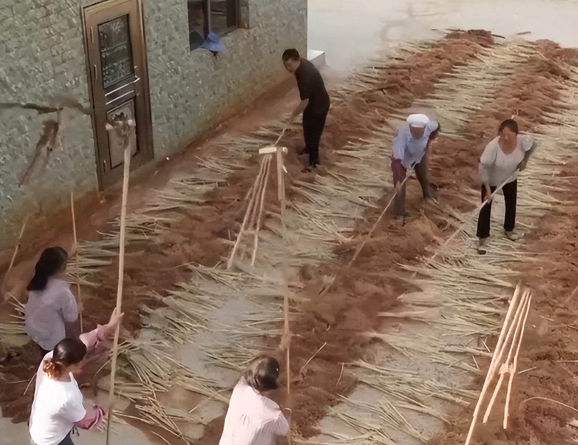 养牛一头牛赚6千的秘密,养牛6头牛一年赚多少钱