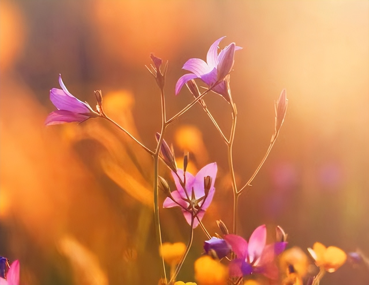 暧昧后说做朋友的都是烂人,和暧昧过的人不可以再联系