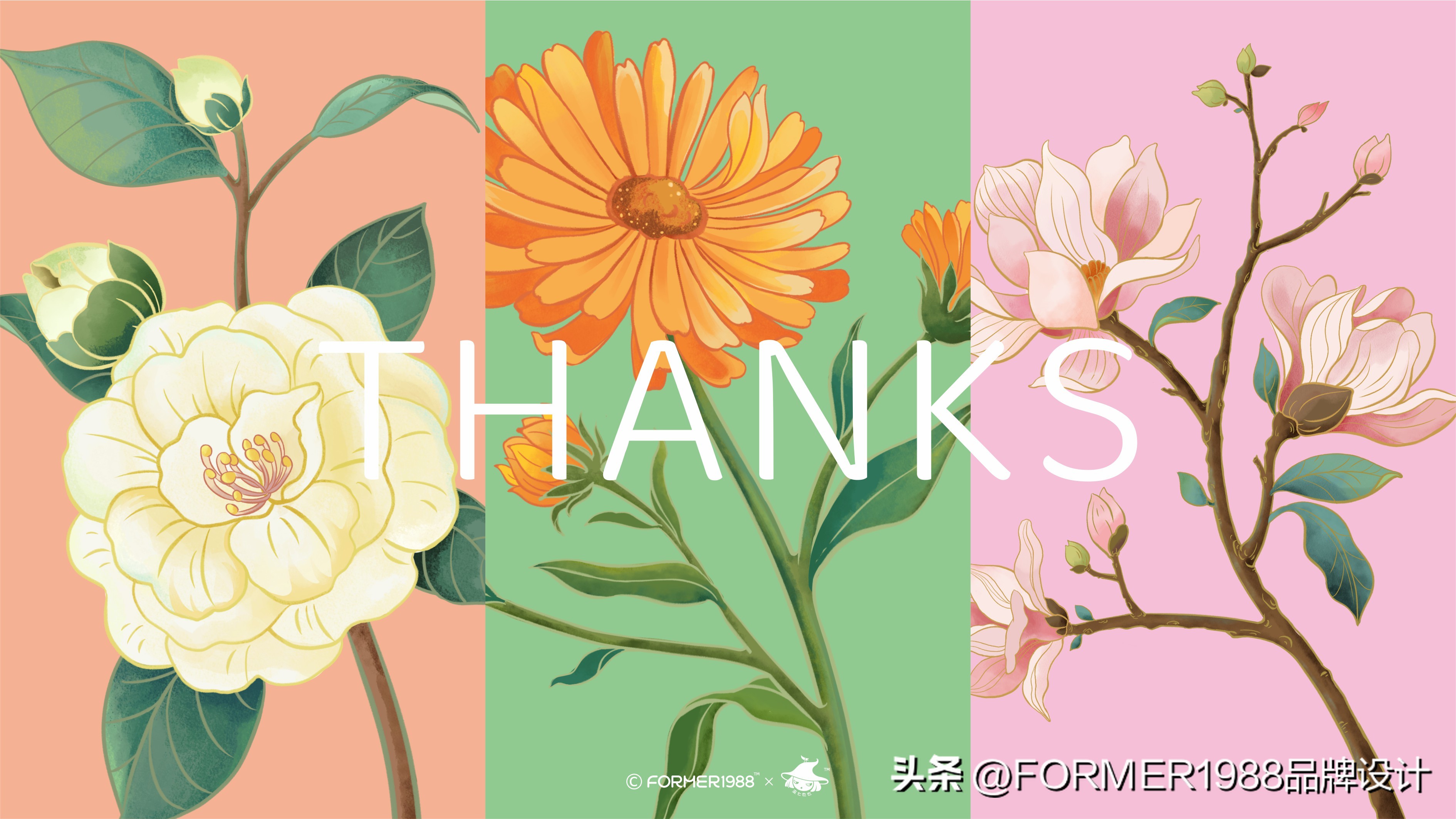 插画化妆品包装,插画化妆品包装设计