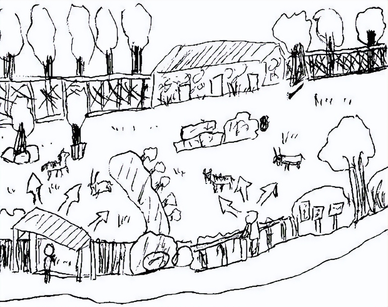 邢台动物园变大了没,淮安动物园开发时间