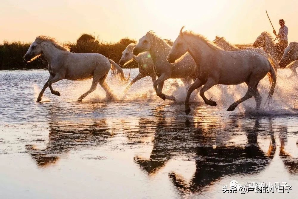 7部让你想走就走的旅行电影,吐血推荐8部关于旅行的电影