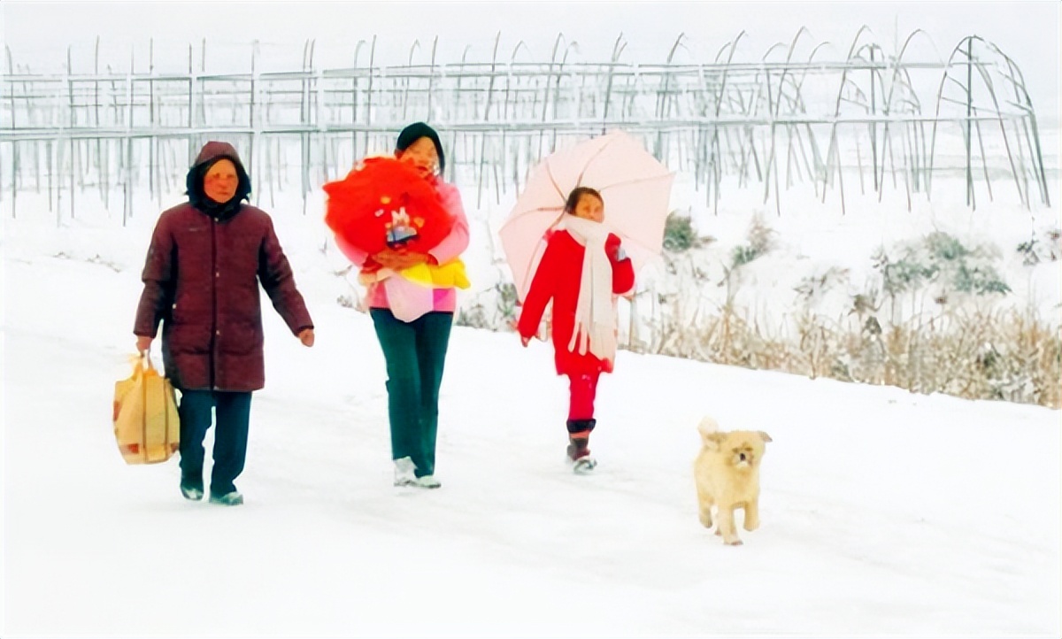 当年走亲戚的真实经历,记录真实生活回老家走亲戚