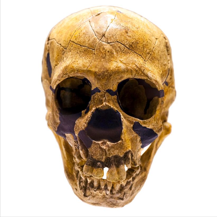 中国人的祖先，原来是起源自这些地方，是否有你所在的省份呢