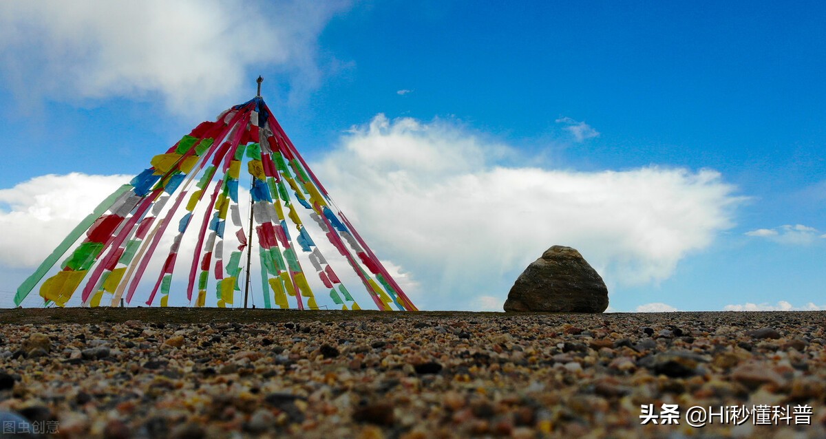 青海湖的救星：3年吃掉7万吨现数量恢复，黑色市场可浮上台面？