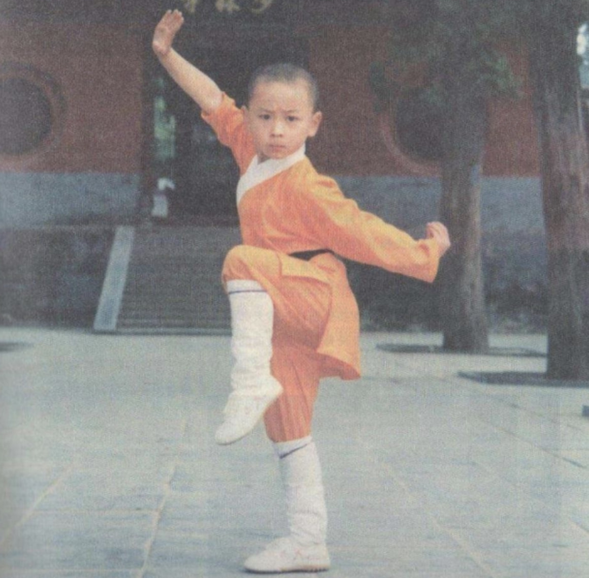 释小龙父母身世之谜,释小龙父亲陈同山视频