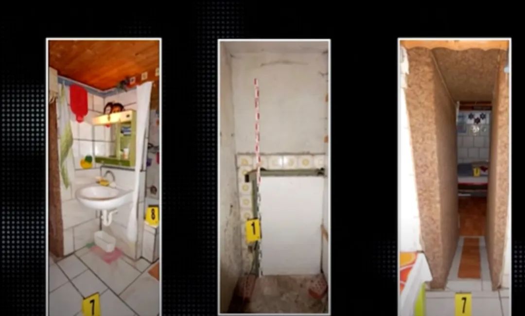 真实事件奥地利兽父囚女案,奥地利兽父囚禁案结果