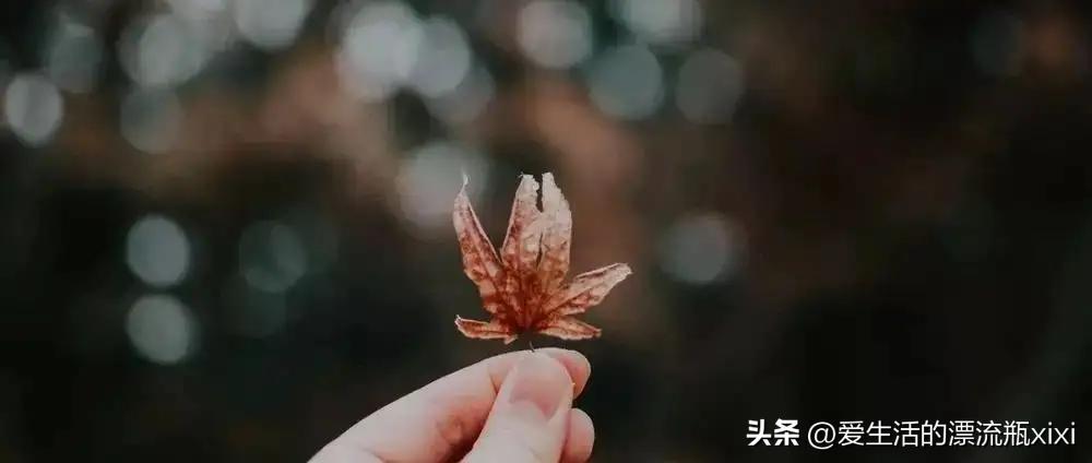 是工作重要还是相亲找对象重要,找对象感觉重要还是条件重要