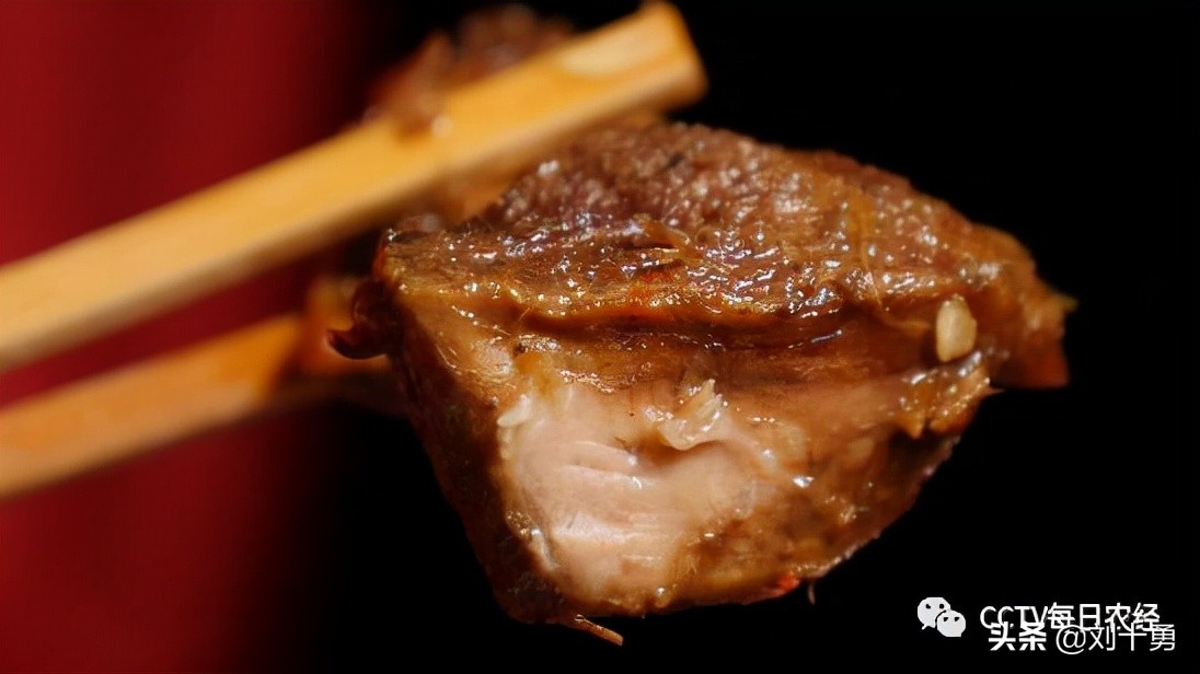 人间美味的动物有哪些,大雁做法和营养价值