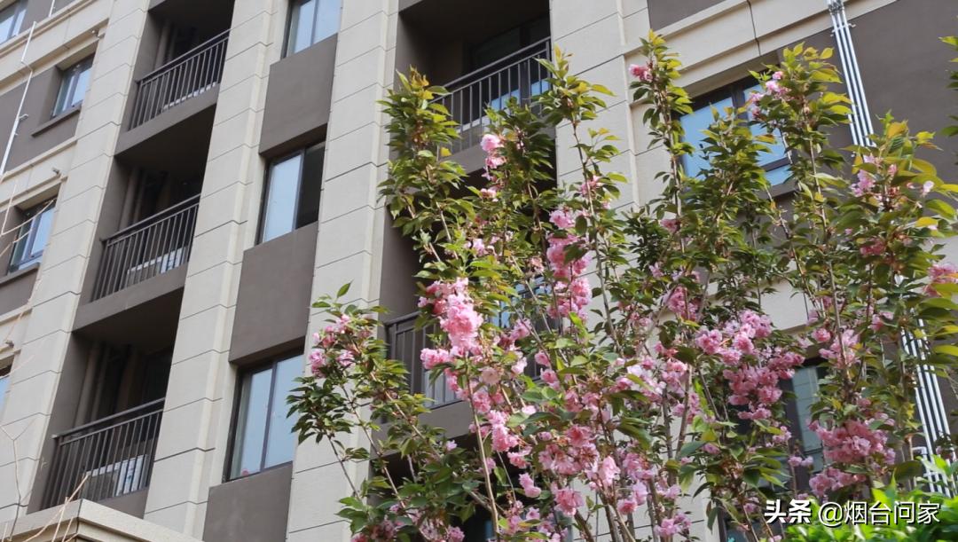 烟台发展新思路,与城市共生的关系