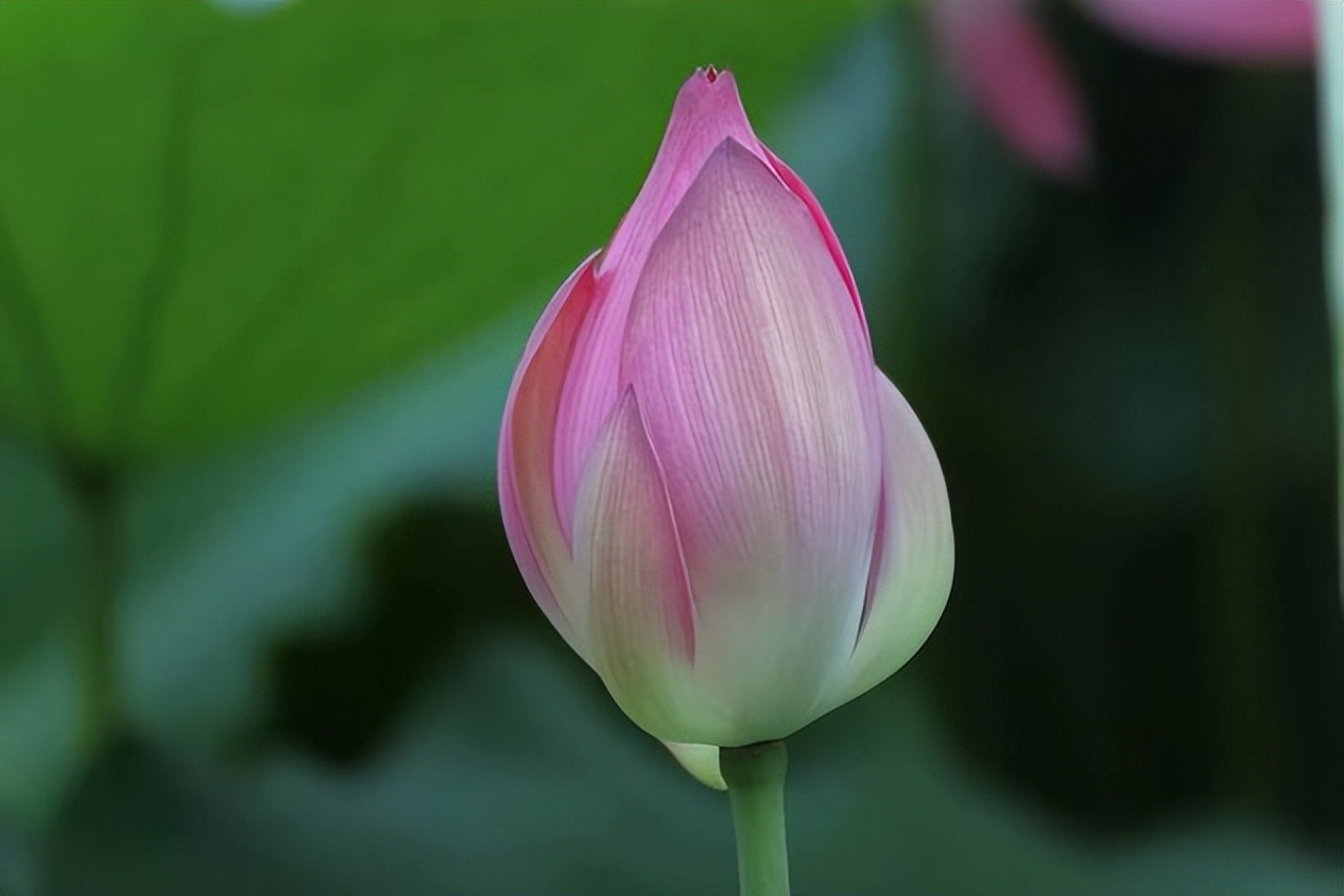 人到中年挣钱是最重要的事,只要放下面子就能赚钱的行业