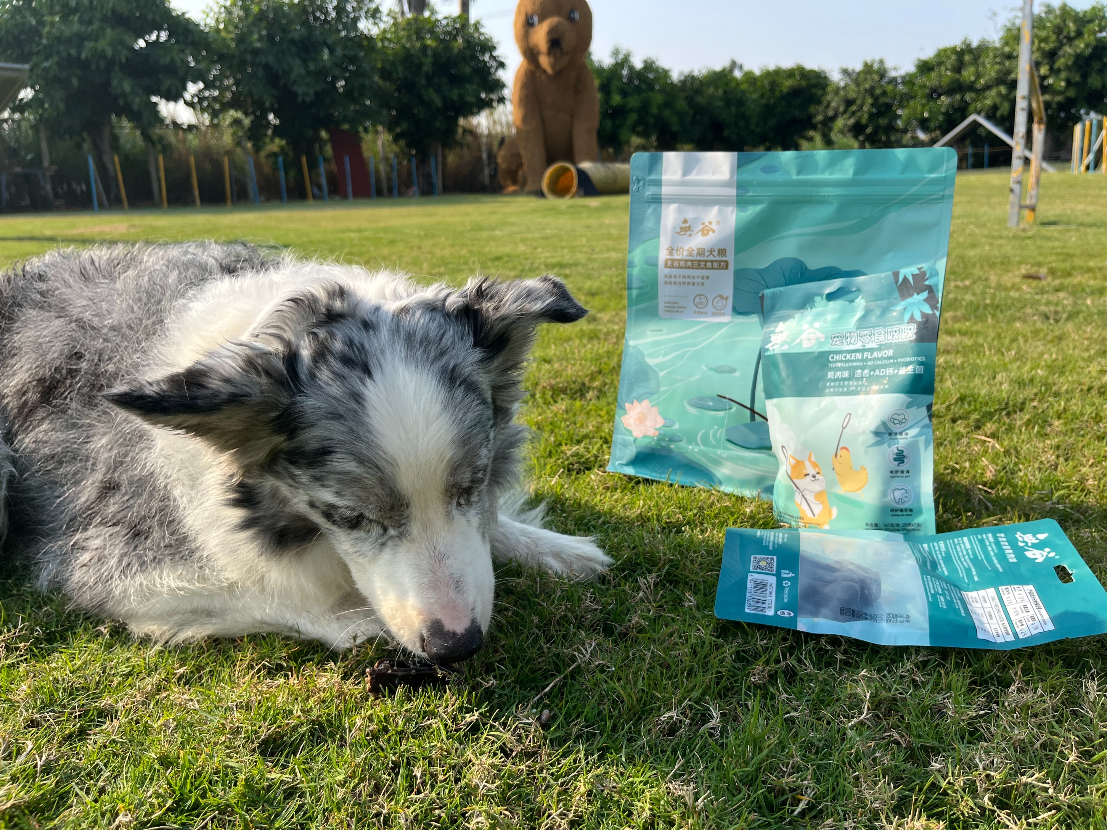 狗狗嘴巴臭怎么去除,狗狗嘴巴臭是什么原因怎么解决