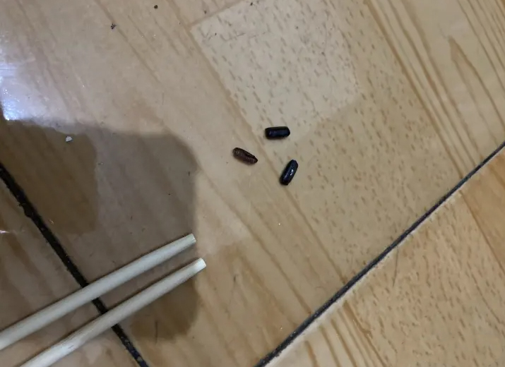 把蟑螂卵清除会减少蟑螂吗,酒精湿巾能否清除蟑螂卵