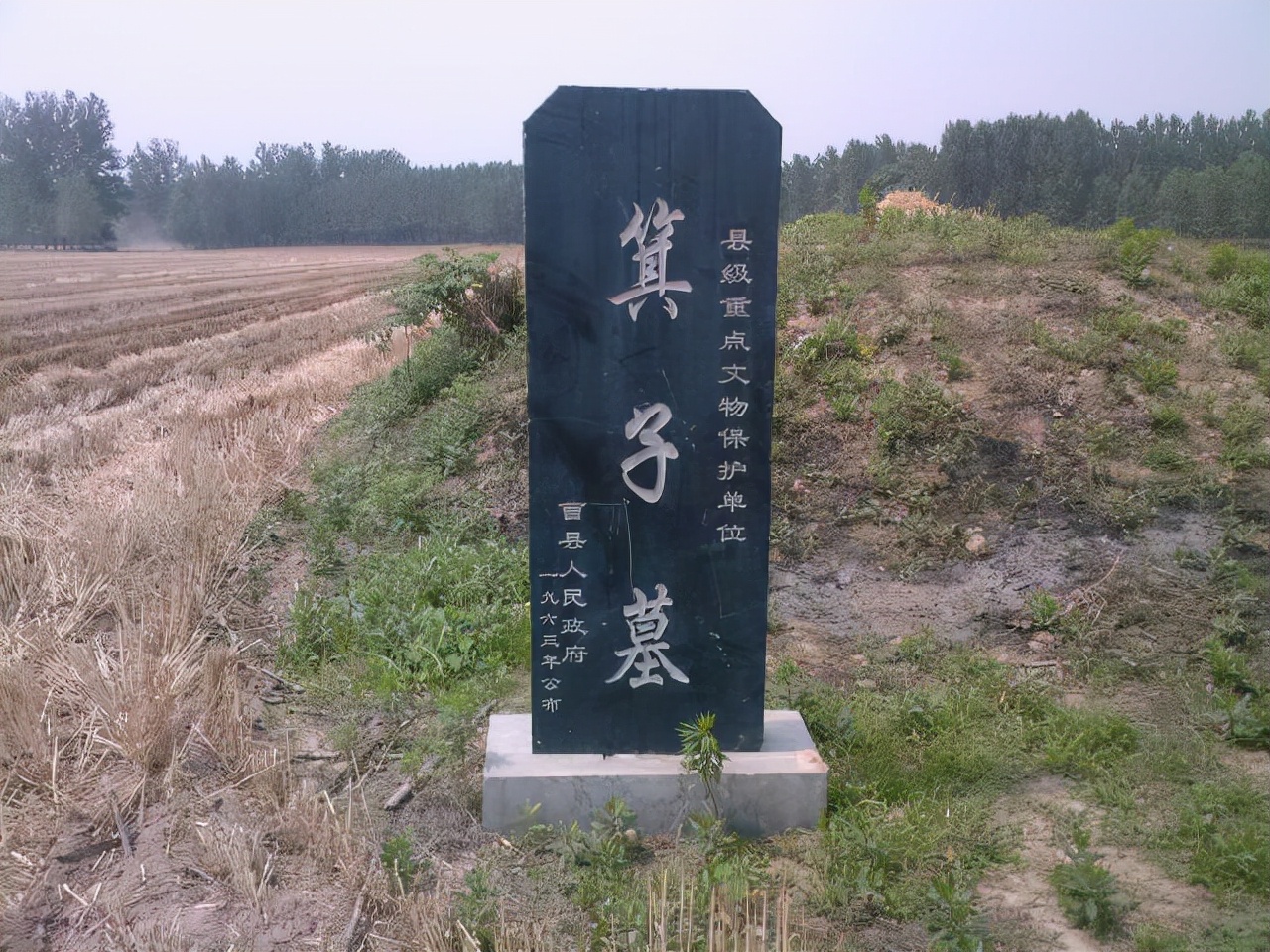 日本的大和民族,日本大和族的来源