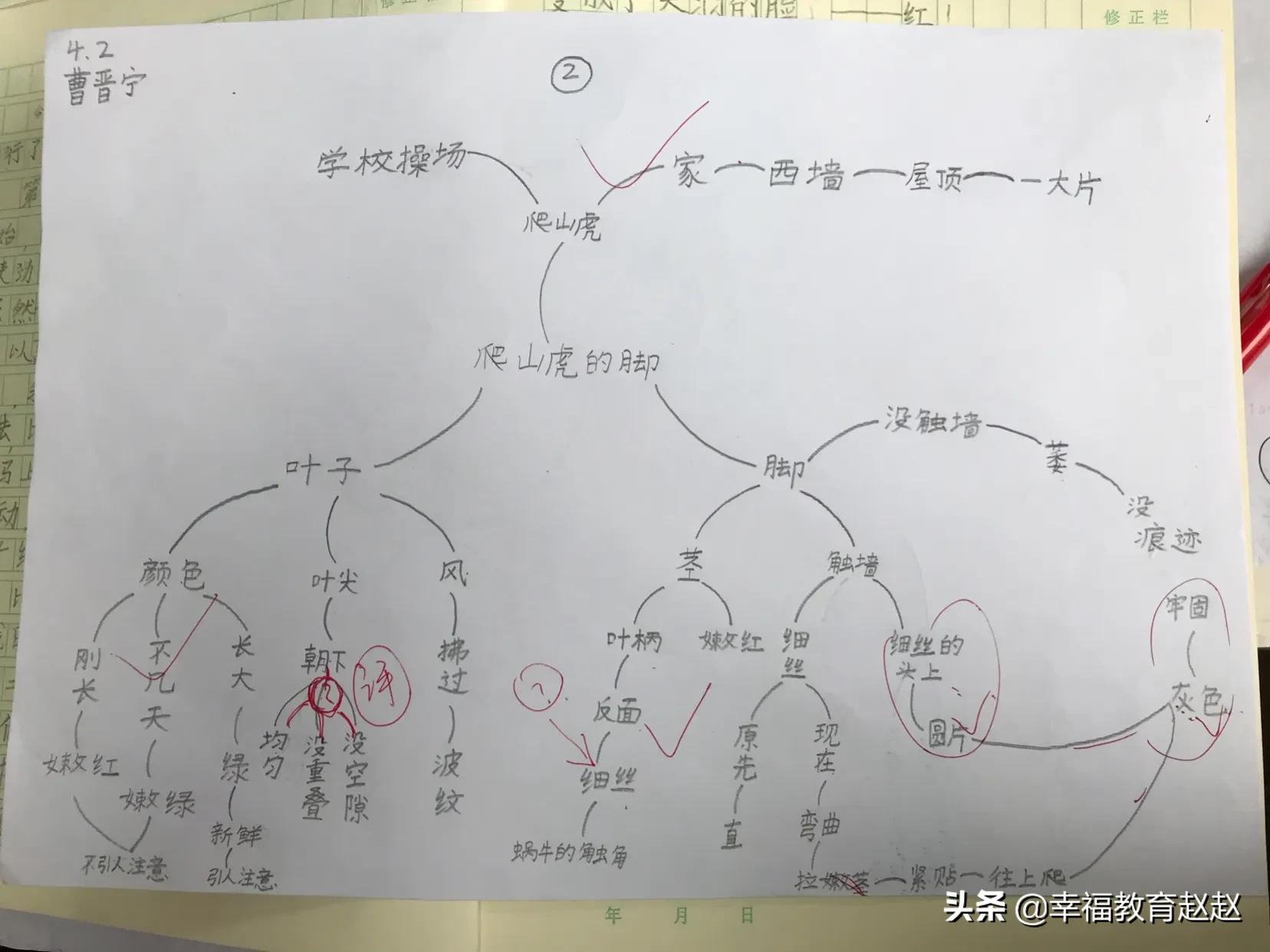 爬山虎的脚思维导图怎么画图片,爬山虎的脚思维导图绘画过程