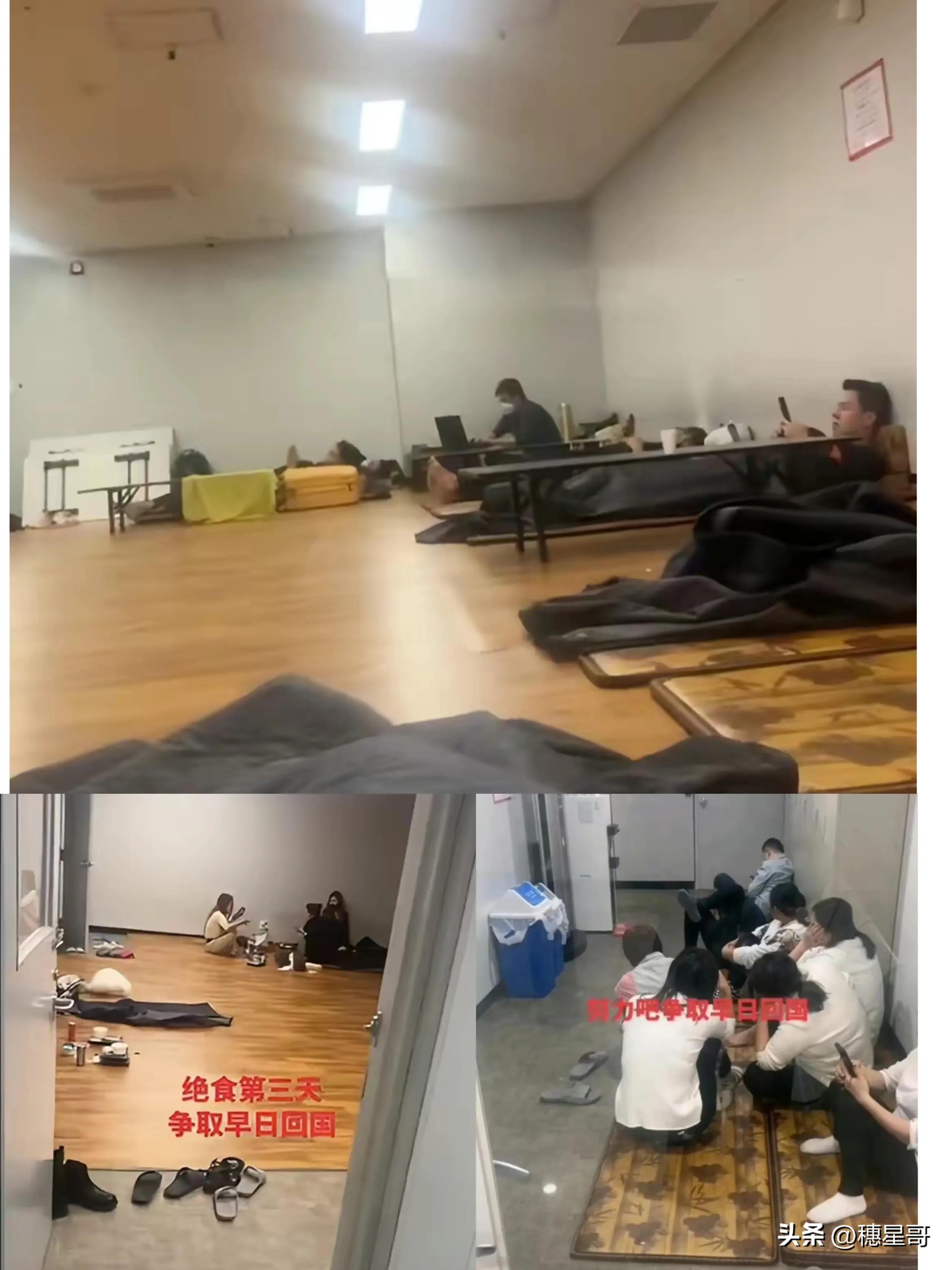 韩国为什么总爱说思密达,韩国对华歧视性入境限制应对措施