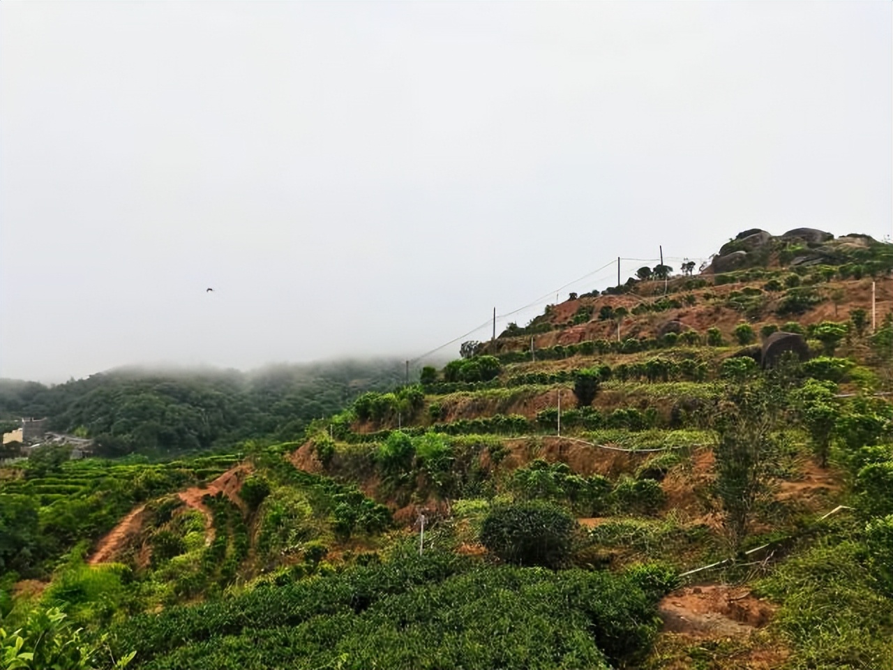 美丽乡村点赞视频,美丽乡村网上宣传引发网友关注