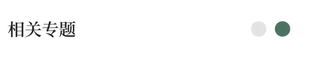 干货！德国音乐生活基金会（DeutscheStiftungMusikleben）