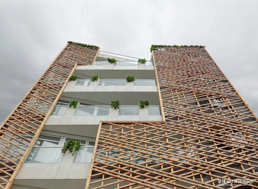 awards2018鑾峰鍚嶅崟,2019awards鑾峰鍚嶅崟