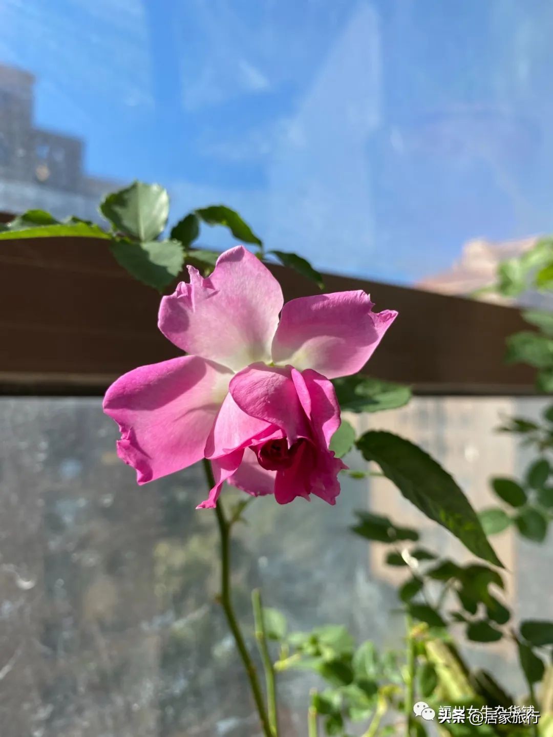 11/17,初冬的星期四