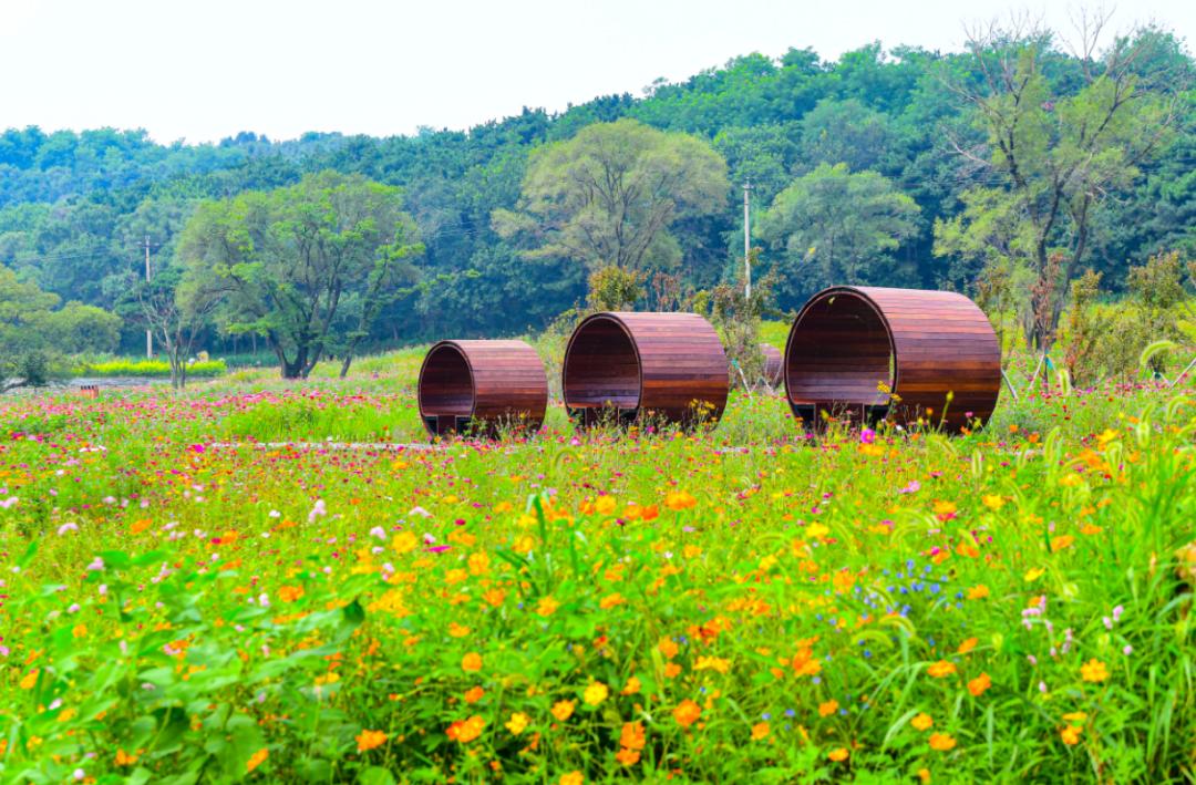 沈阳文旅项目排名,沈阳文旅景区项目