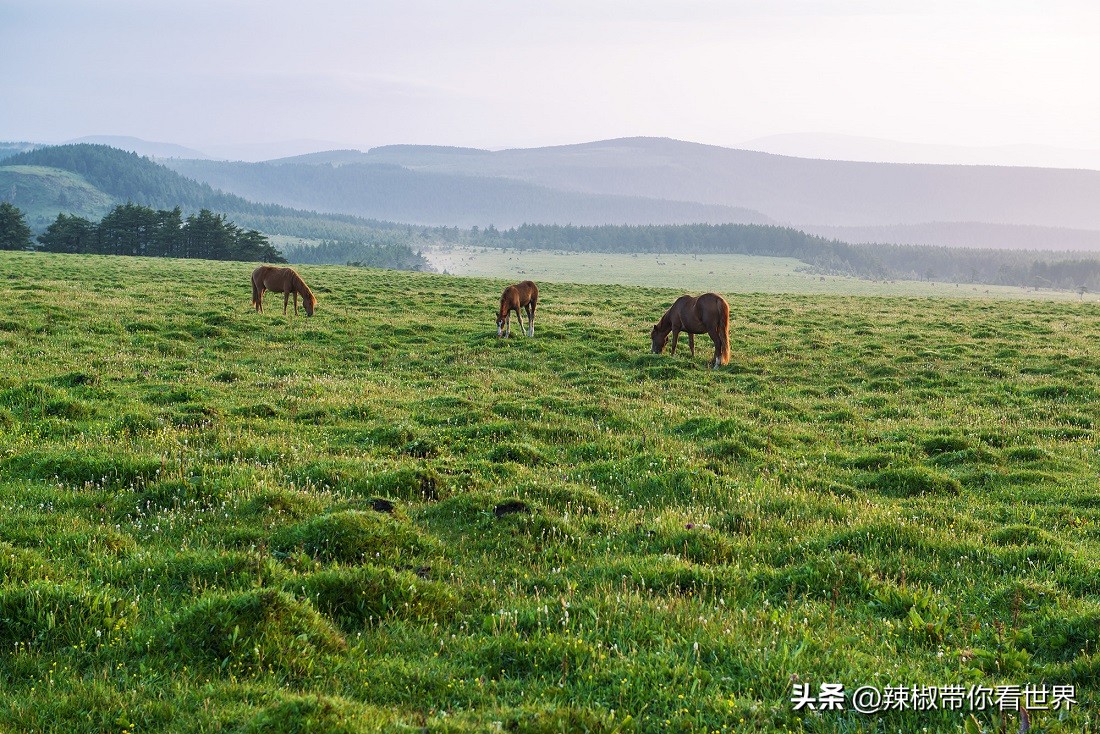 忻州一日游五台山雁门关忻州古城,五台山雁门关忻州古城三日游