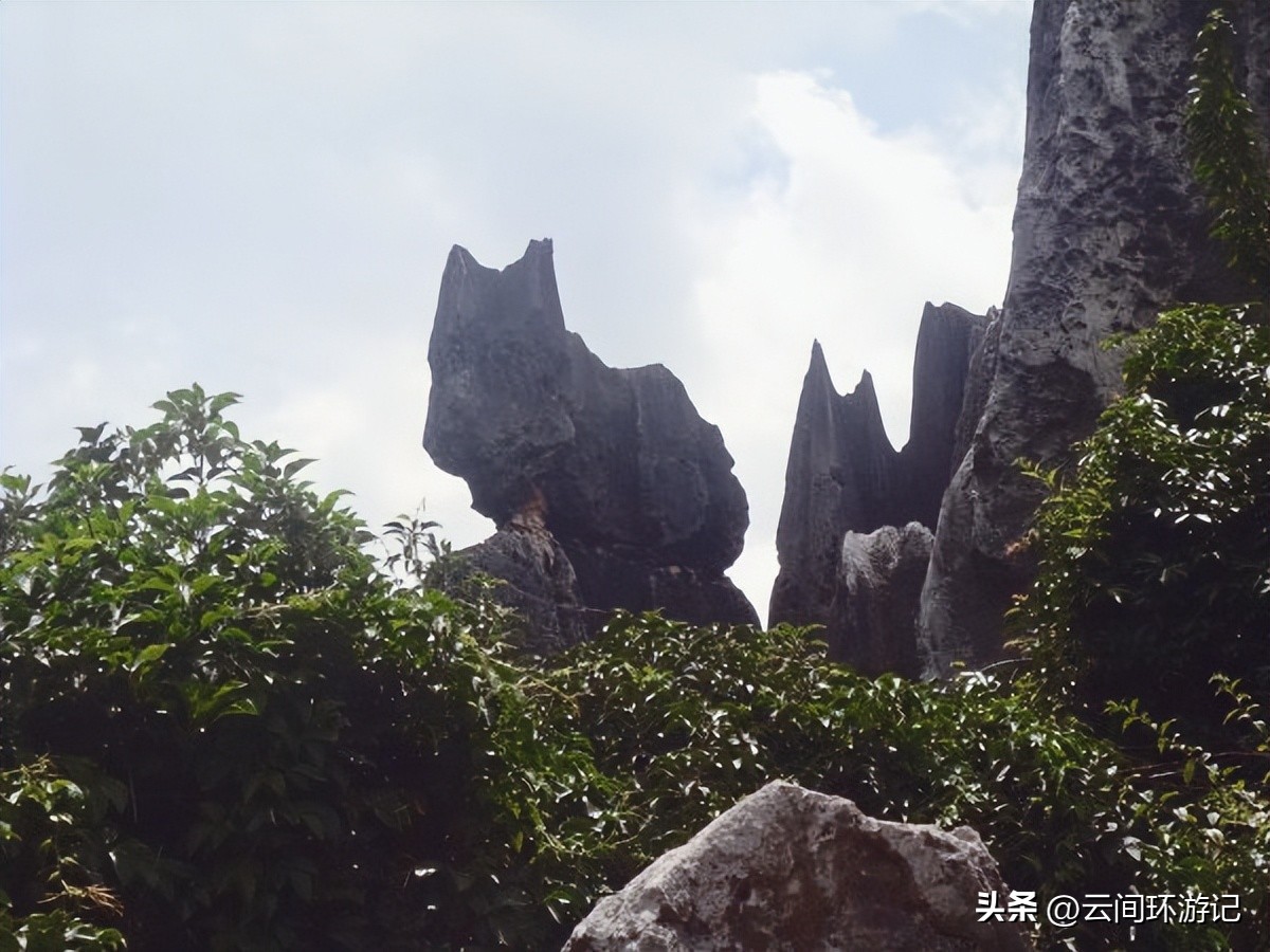 「一根风花雪月的鸡毛」（云南丨昆大丽香）