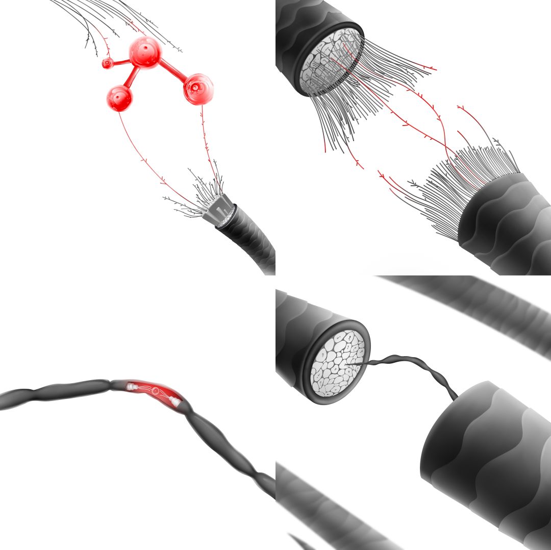 欧莱雅护发系列怎么样,欧莱雅护发系列