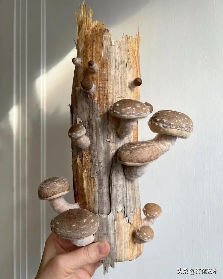 以假乱真的纸蘑菇,以假乱真纸制蘑菇