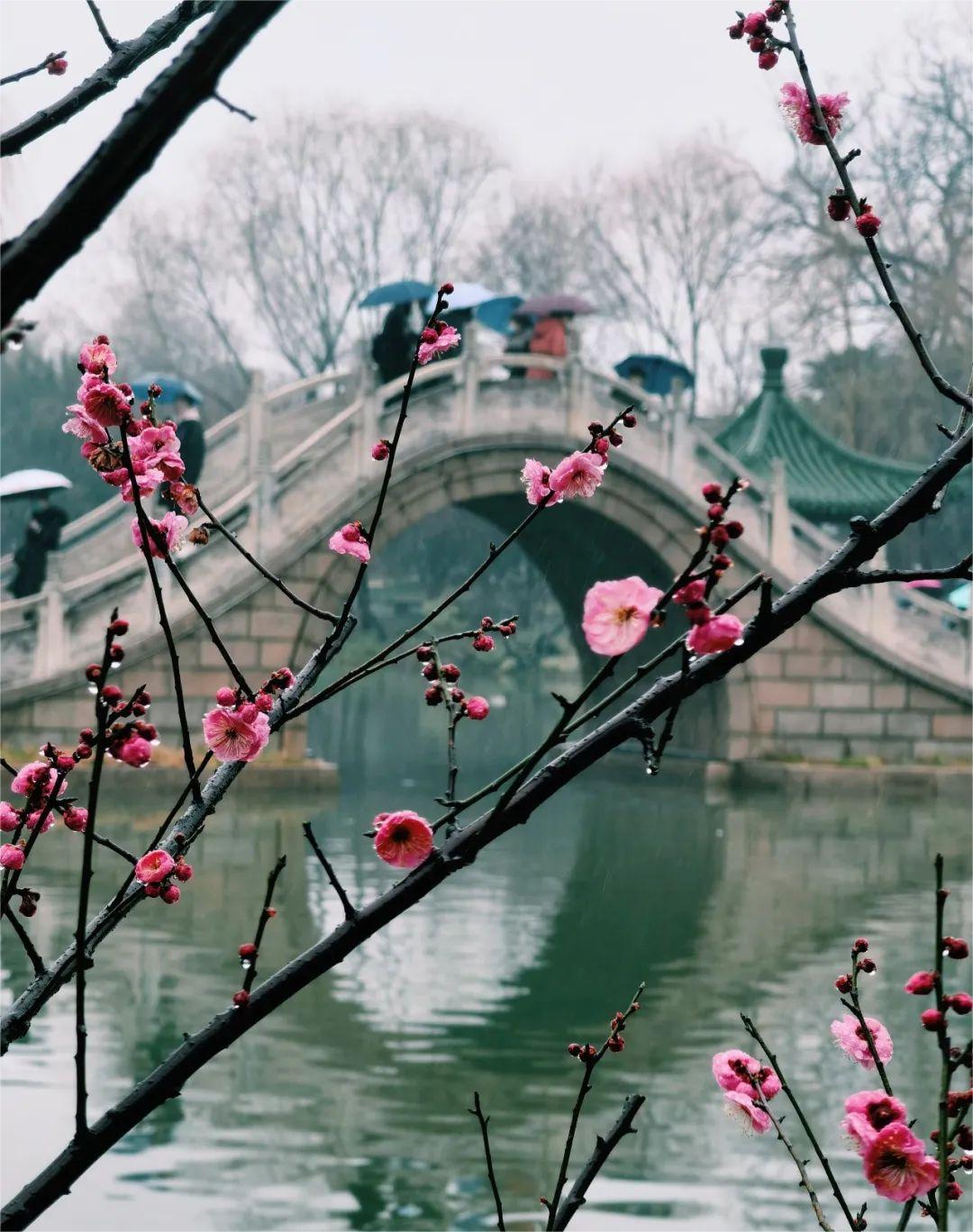 睡过这家国宾馆的新楼，我们全家都愁了……