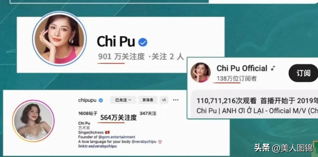 越南芝芙,芝芙越南