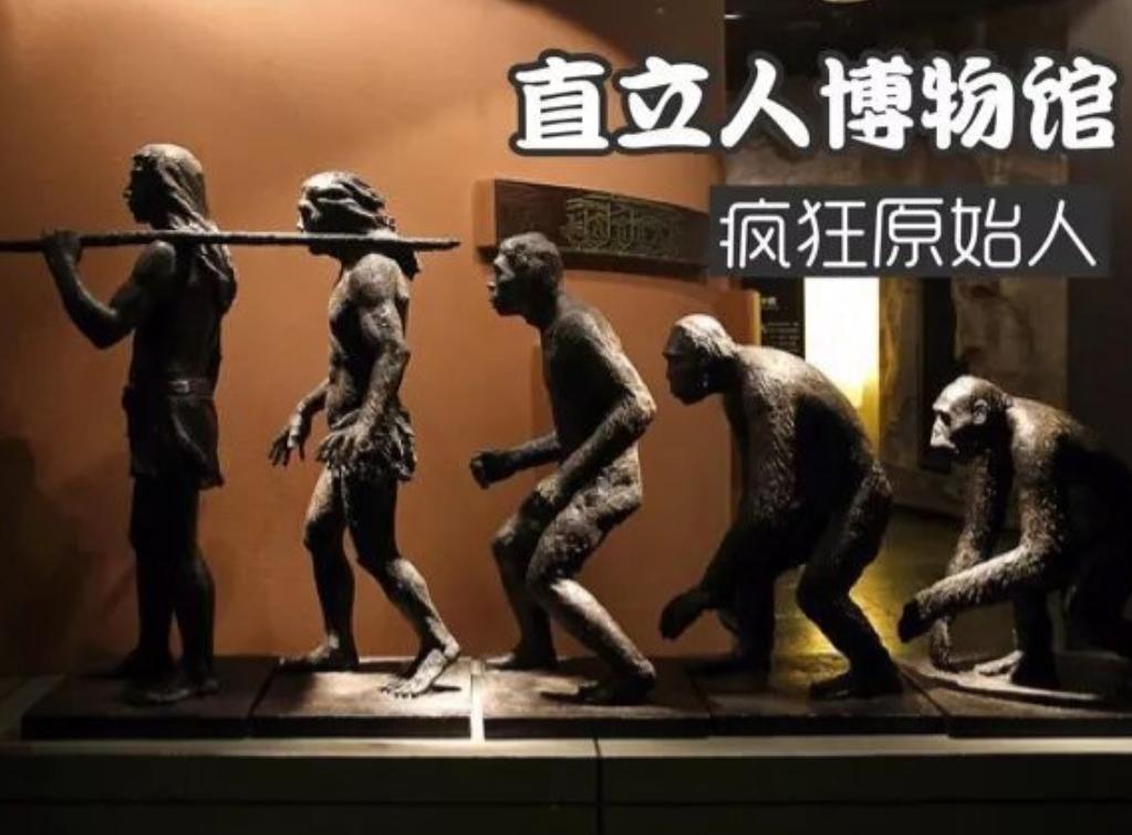 蜱虫比虱子厉害吗,怎么判断蜱虫和虱子