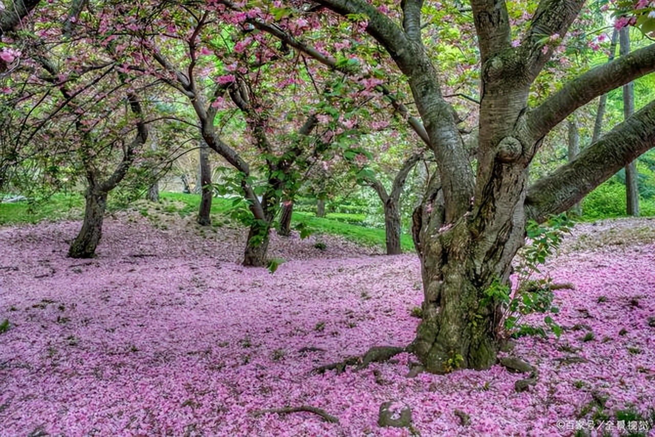 李贺：“奇”“诡”“冷”“艳”的另类诗人