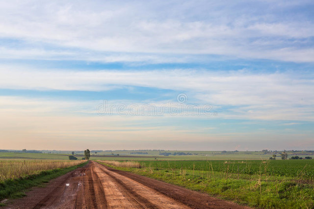 徐州韩庄最新新闻,徐州韩庄最新消息今天
