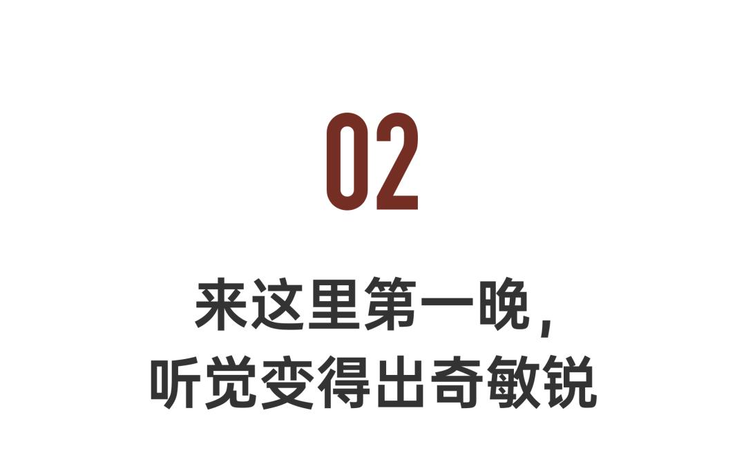 他在贵州租下200亩山谷，95后纷纷投奔：过不花钱的日子，很快乐