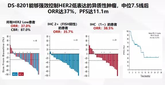 her2低表达乳腺癌临床诊疗共识,上海复旦大学肿瘤医院乳腺科吴炅