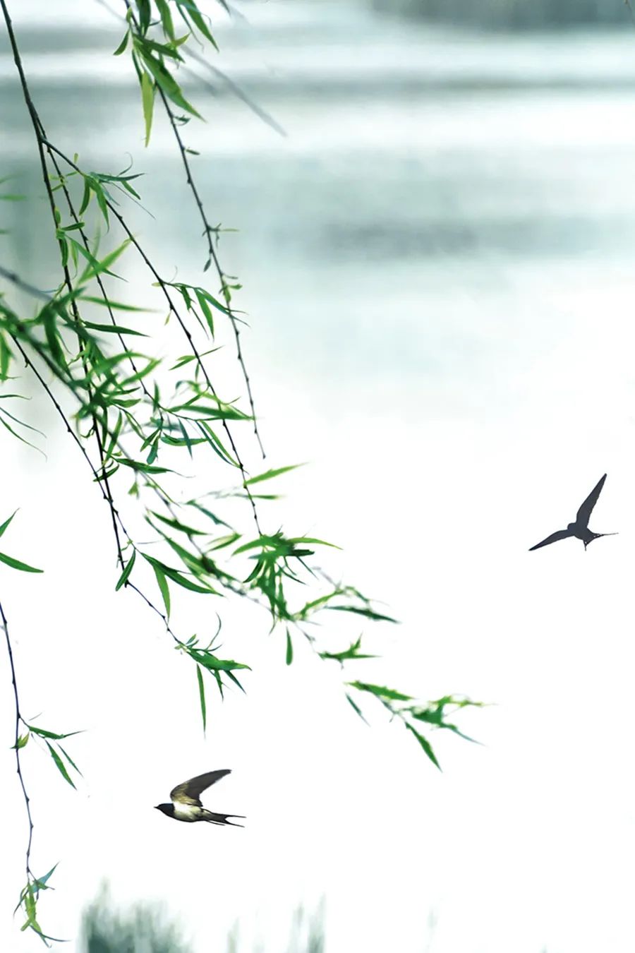 时间雅称大全,时间的别称雅称