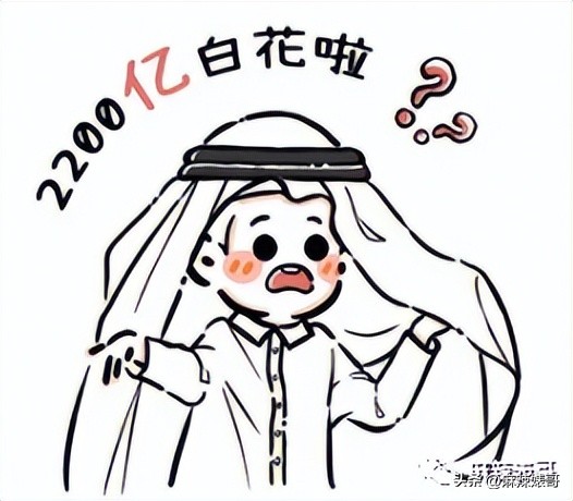 金晨模仿卡塔尔小王子晒照,金晨模仿卡塔尔王子被起诉了吗