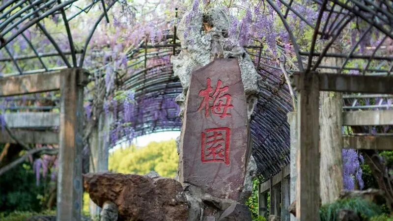 无锡荣德生沈家桥,无锡荣德生